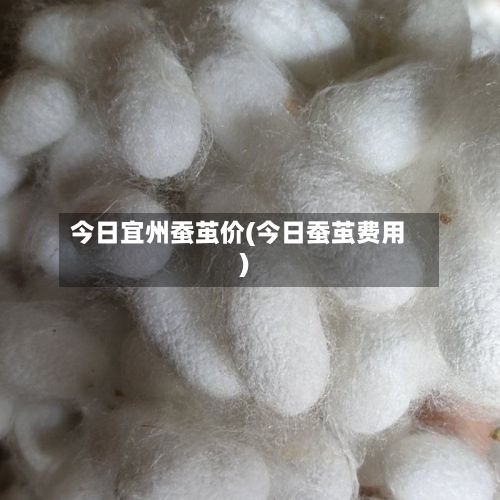 今日宜州蚕茧价(今日蚕茧费用)-第2张图片