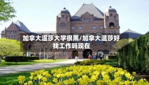 加拿大温莎大学很黑/加拿大温莎好找工作吗现在