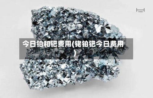 今日铂和钯费用(铑铂钯今日费用)-第3张图片