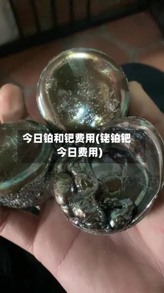 今日铂和钯费用(铑铂钯今日费用)
