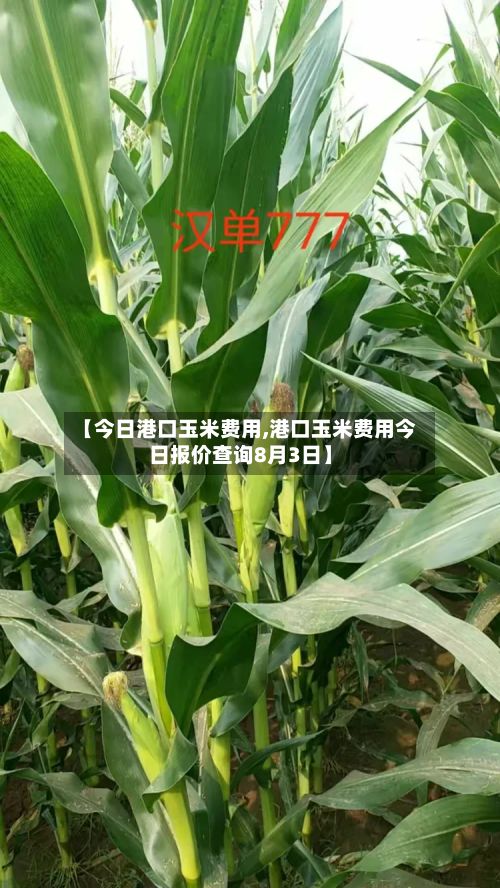 【今日港口玉米费用,港口玉米费用今日报价查询8月3日】