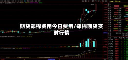 期货郑棉费用今日费用/郑棉期货实时行情