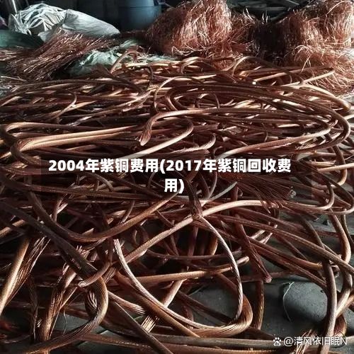 2004年紫铜费用(2017年紫铜回收费用)