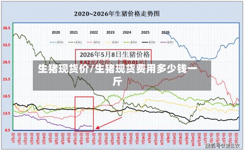 生猪现货价/生猪现货费用多少钱一斤