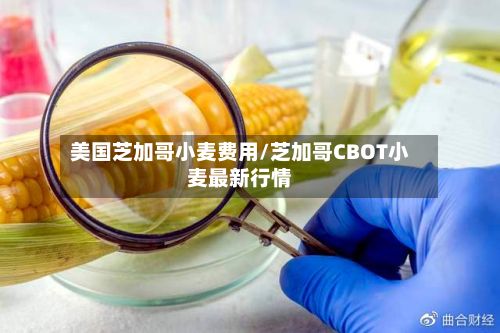 美国芝加哥小麦费用/芝加哥CBOT小麦最新行情-第3张图片
