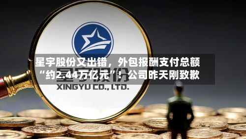 星宇股份又出错	，外包报酬支付总额“约2.44万亿元	”！公司昨天刚致歉-第2张图片