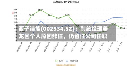 西子洁能(002534.SZ)：副总经理姜龙因个人原因辞任，仍留任公司任职-第3张图片