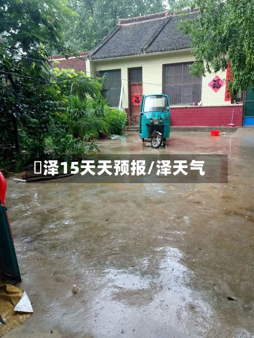 渮泽15天天预报/泽天气