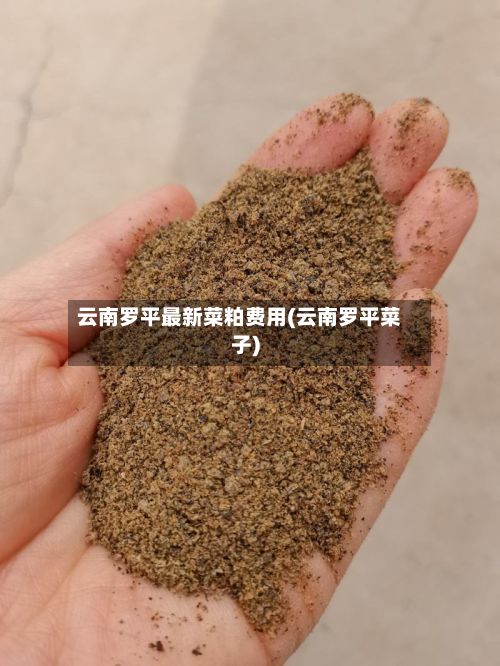 云南罗平最新菜粕费用(云南罗平菜子)