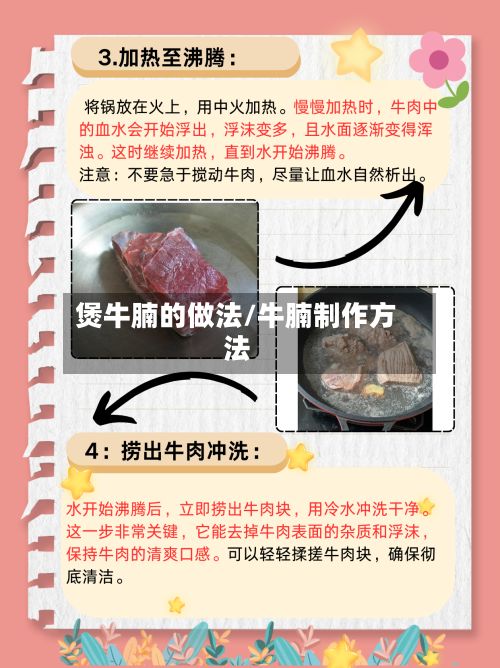 煲牛腩的做法/牛腩制作方法