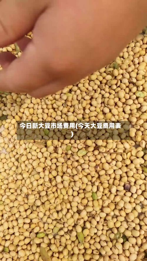 今日新大豆市场费用(今天大豆费用表)