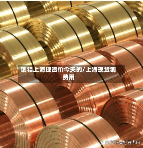 铜铝上海现货价今天的/上海现货铜费用-第2张图片