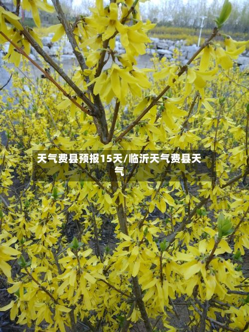 天气费县预报15天/临沂天气费县天气