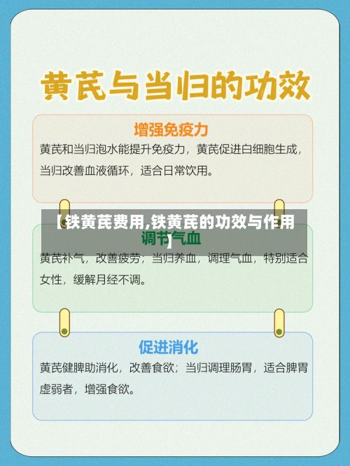 【铁黄芪费用,铁黄芪的功效与作用】