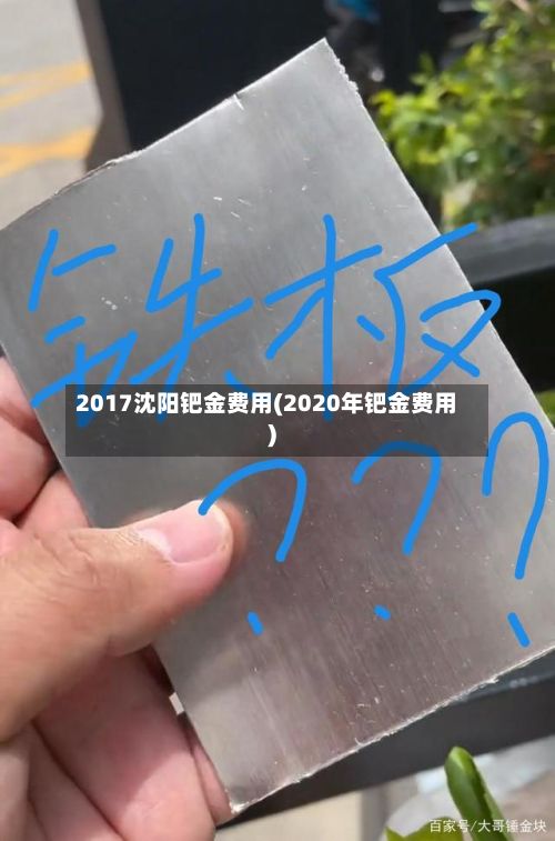 2017沈阳钯金费用(2020年钯金费用)