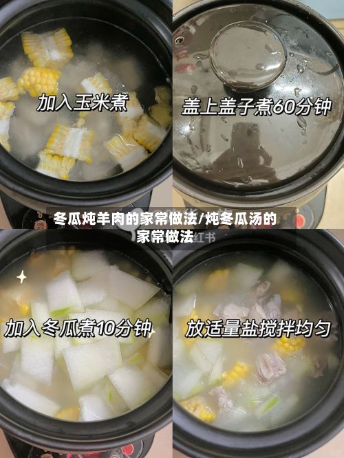 冬瓜炖羊肉的家常做法/炖冬瓜汤的家常做法