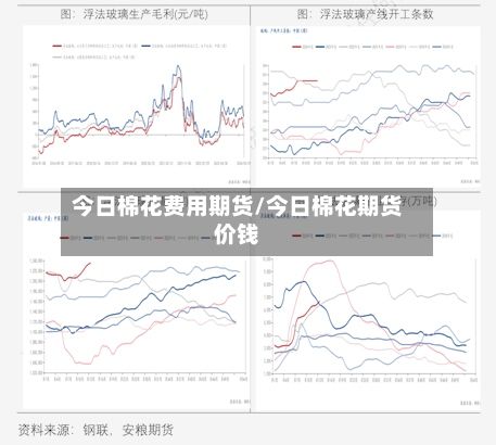 今日棉花费用期货/今日棉花期货价钱