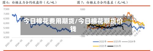 今日棉花费用期货/今日棉花期货价钱-第2张图片