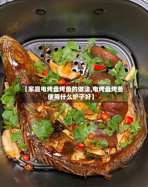 【家庭电烤盘烤鱼的做法,电烤盘烤鱼使用什么炉子好】