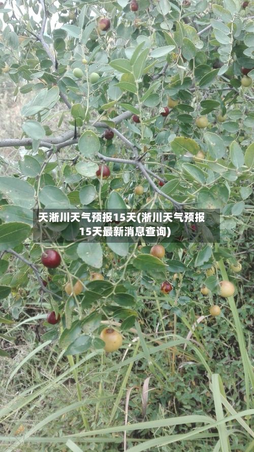 天淅川天气预报15天(淅川天气预报15天最新消息查询)-第2张图片
