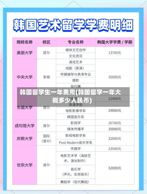韩国留学生一年费用(韩国留学一年大概多少人民币)-第2张图片