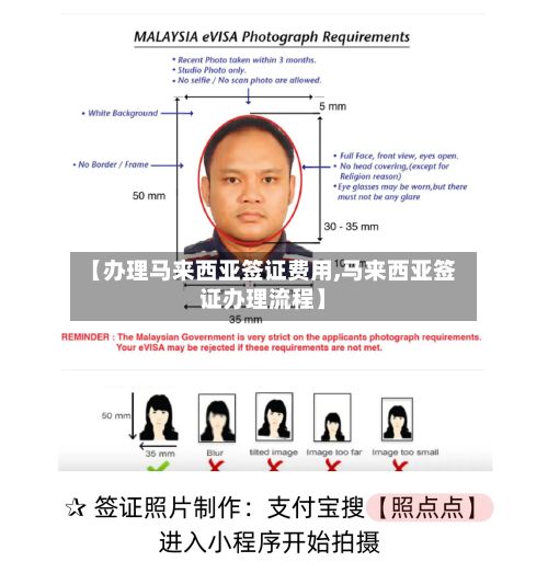 【办理马来西亚签证费用,马来西亚签证办理流程】-第2张图片