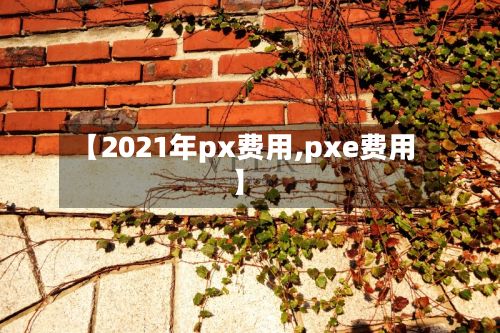 【2021年px费用,pxe费用】-第2张图片