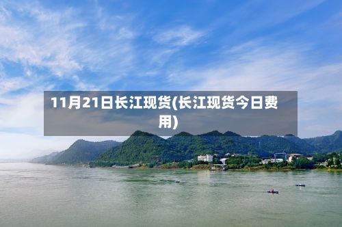 11月21日长江现货(长江现货今日费用)-第2张图片