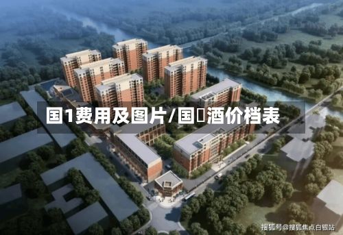 国1费用及图片/国綠酒价档表-第2张图片