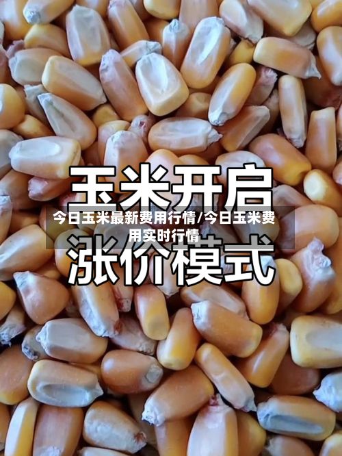 今日玉米最新费用行情/今日玉米费用实时行情