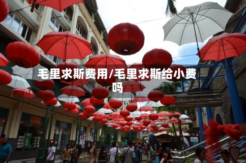 毛里求斯费用/毛里求斯给小费吗-第2张图片