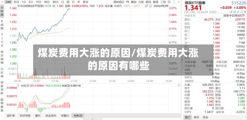 煤炭费用大涨的原因/煤炭费用大涨的原因有哪些