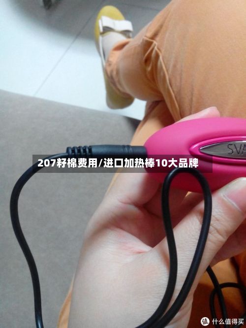 207籽棉费用/进口加热棒10大品牌