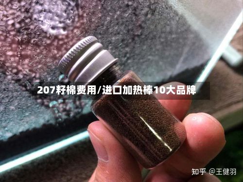 207籽棉费用/进口加热棒10大品牌-第3张图片