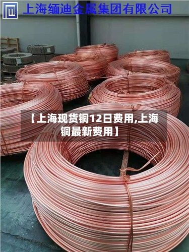 【上海现货铜12日费用,上海铜最新费用】-第2张图片