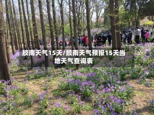 胶南天气15天/胶南天气预报15天当地天气查询表-第3张图片