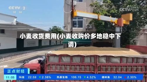 小麦收货费用(小麦收购价多地稳中下调)-第2张图片