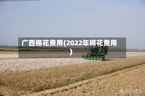广西棉花费用(2022年棉花费用)
