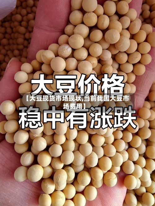 【大豆现货市场现状,当前我国大豆市场费用】