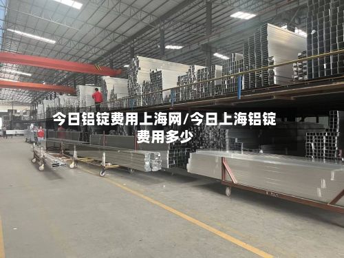 今日铝锭费用上海网/今日上海铝锭费用多少-第3张图片
