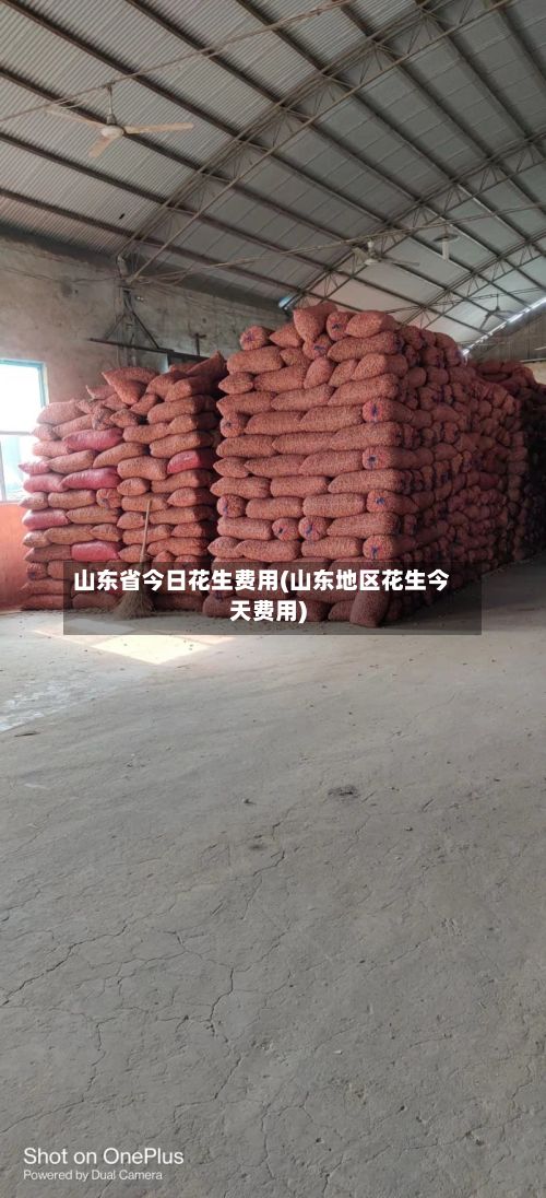 山东省今日花生费用(山东地区花生今天费用)-第2张图片