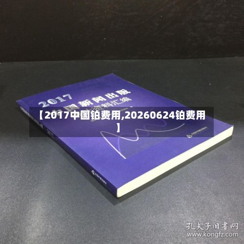 【2017中国铂费用,20260624铂费用】-第3张图片
