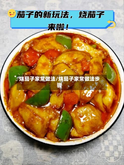 烧茄子家常做法/烧茄子家常做法步骤