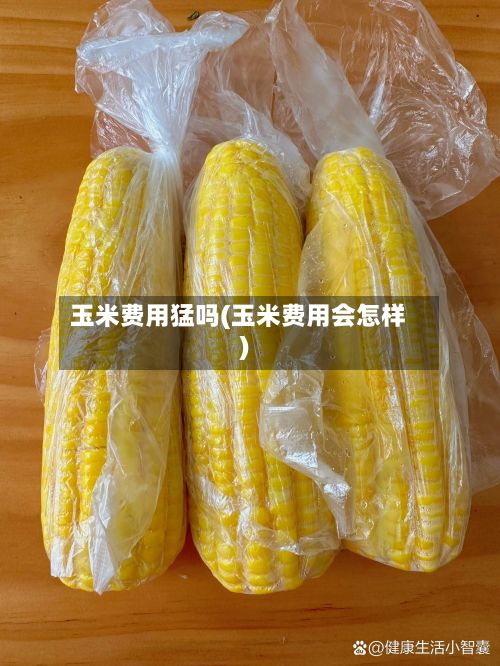 玉米费用猛吗(玉米费用会怎样)-第3张图片