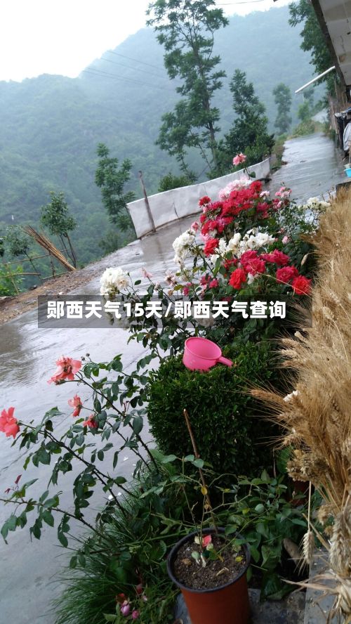 郧西天气15天/郧西天气查询