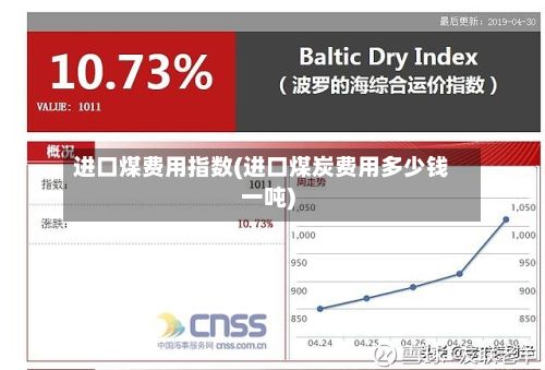 进口煤费用指数(进口煤炭费用多少钱一吨)-第3张图片