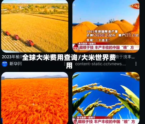 全球大米费用查询/大米世界费用