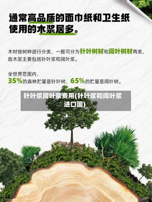 针叶浆阔叶浆费用(针叶浆和阔叶浆进口国)-第3张图片