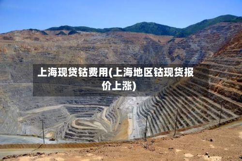 上海现贷钴费用(上海地区钴现货报价上涨)