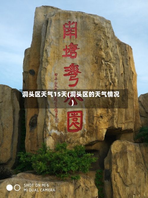 洞头区天气15天(洞头区的天气情况)
